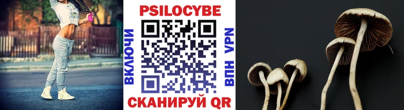 купить наркотики сайты  Старый Оскол  Галлюциногенные грибы Psilocybe 